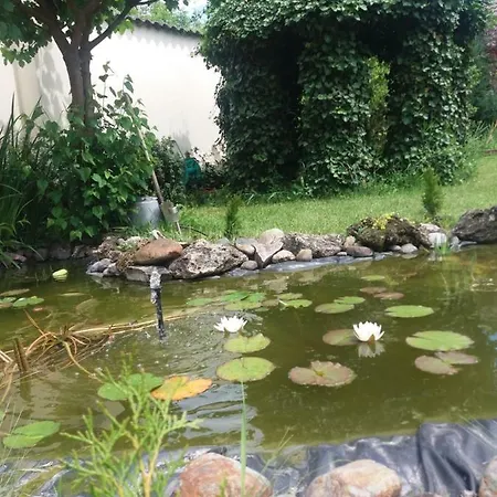 Notafa Vendeghaz Guest house *